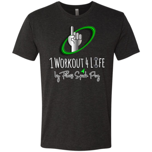 1W4L Next Level Men's Triblend T-Shirt (NL6010)